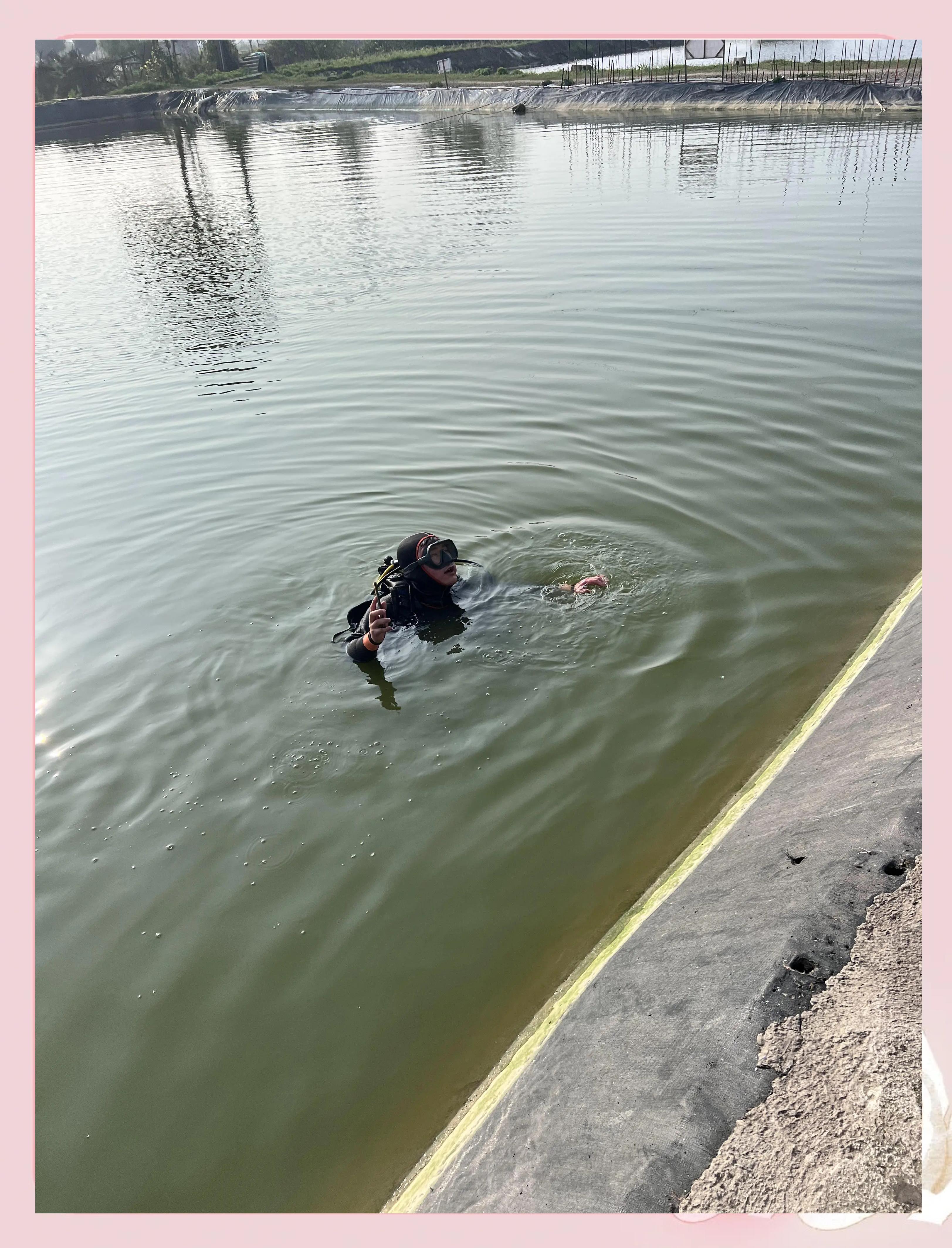 关于潜水探险赛：深海奇观的探索之旅的信息