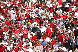 九游网页版官网入口-体育赛事观众满意度影响因素研究，体育赛事关注度