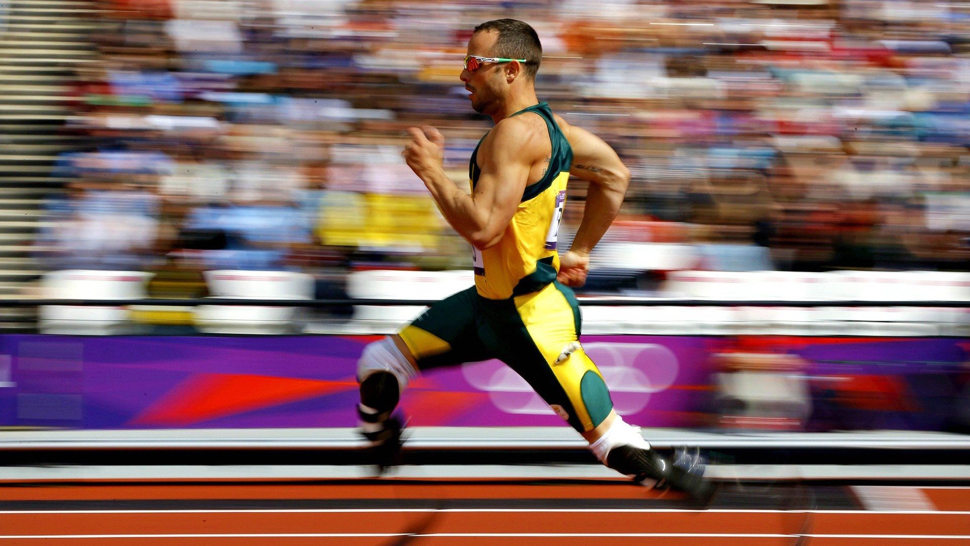 德甲俱乐部投入足球基础设施,推动环境保护,德甲专业足球场